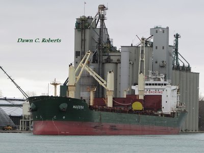 Saltie Maccoa at the Sarnia Government Dock.