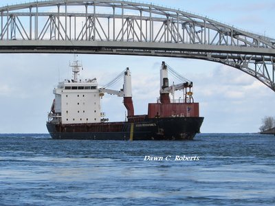 Acadia Desgagnes (Windsor) with blue skies behind and snow squalls ahead.