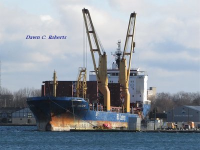 Saltie BBC Arizona at the Sarnia Harbor Dock this morning.