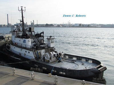 Tug Candace Elise moored at the former Bean Dock, south of Port Huron.