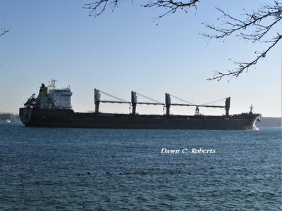 Saltie Helena G (Montreal) south of Marysville.