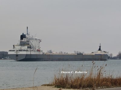 Kaministiqua (Sorel) down-bound at Marysville.