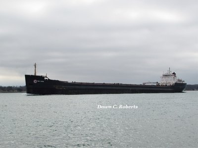 Tim S. Dool (Superior) passing the Corunna fuel dock.