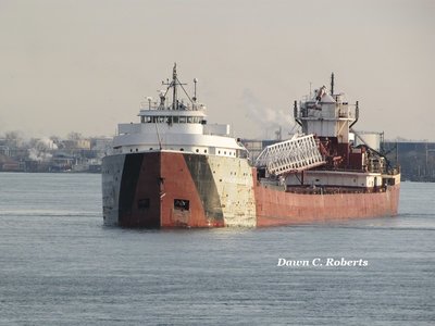 ...and begins a water ballet, turning gracefully around (pirouette) in the middle of the St. Clair River.