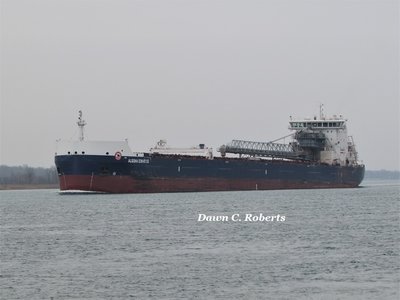 Algoma Conveyor (Thunder Bay) off Stag Island.