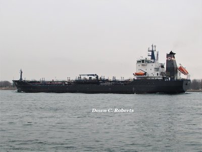 Algosea (Sarnia) slowly makes her way past the Junction Buoy.