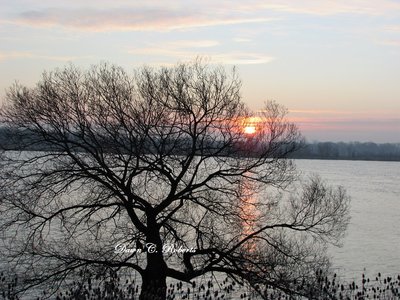 At last! Filtered sunrise over the St. Clair River.