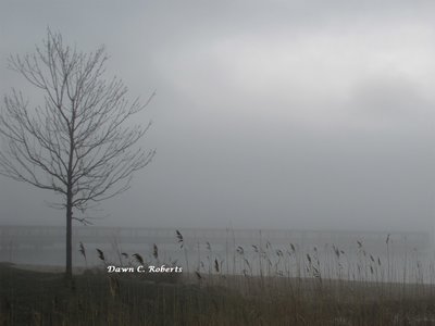 08:30 at Marysville. Oakglen is approaching...her fog horn sounds once...twice...three times...her engines hum...I can hear the sound of her pushing through the water...and she passes up bound, totally invisible!