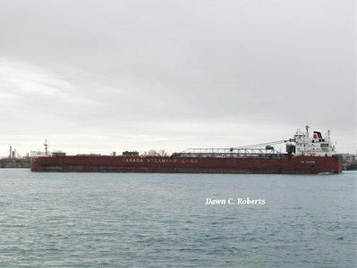 CSL Niagara (Superior) in Chemical Valley.