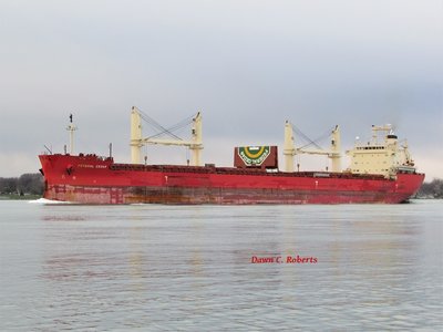 Saltie Federal Bering (Thunder Bay) passes Marysville at the Junction Buoy.