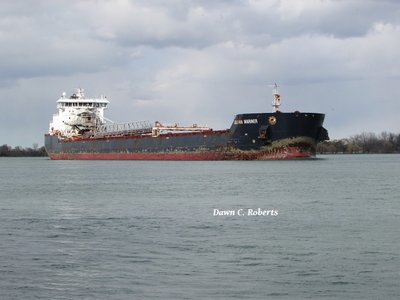 Algoma Mariner (Hamilton) reflecting late afternoon sun.