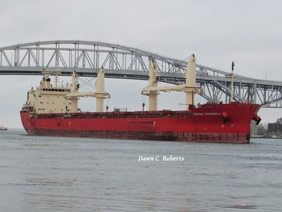 Saltie Federal Churchill (Montreal) adding color to an otherwise dreary morning.