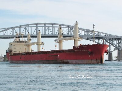 Saltie Federal Bristol (Montreal) at the Bluewater Bridges.