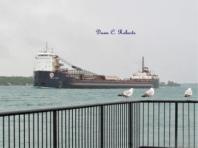 John D. Leitch (Chicago) attracted a small crowd of admirers at the Marysville Boat Launch.