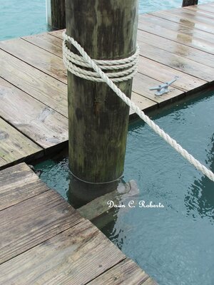 The dock at River Crab. Next time I go there to "shoot ships," it will likely be under water!