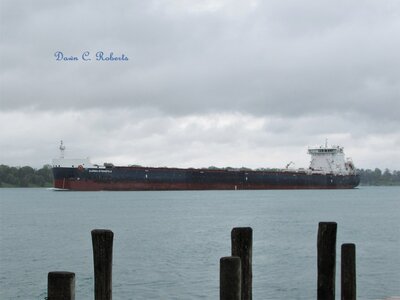 Algoma Strongfield (Thunder Bay) at the River Crab.