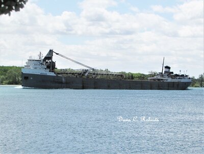 Saginaw (Meldrum Bay) is a mere year younger and still looking classy off Stag Island.