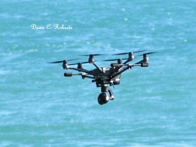 Sitting in my car, something close to shore and moving low over the water caught my attention. Not a bird. Not a dragonfly. A drone! The first "live" one I've ever seen.