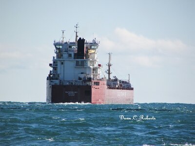 Canada Steamship Company's Whitefish Bay (Chicago) sounded a "5-blast salute" to scatter a fleet of fishing boats clustered in its path.