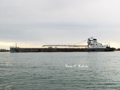 Robert S. Pierson (Sarnia) at Marine City.