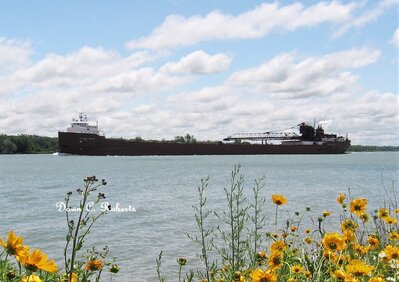 Hon. James L. Oberstar (Sturgeon Bay) passing the riverwalk gardens at Marysville.