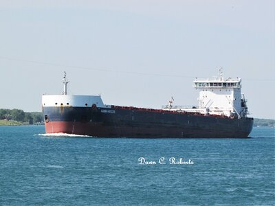 Algoma Harvester (Thunder Bay) above Marysville.