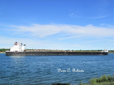 American Mariner (Buffalo) at Stag Island, with a cargo of wheat.