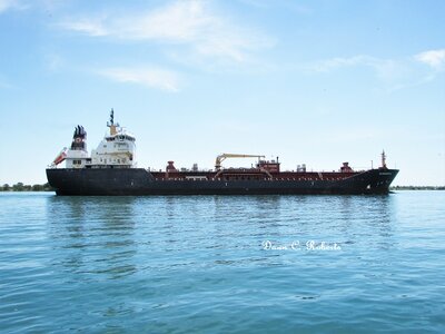 Algoscotia (Halifax) didn't stay long at Sarnia and had already reached Marine City by mid morning.