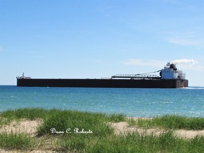 Paul R. Tregurtha (Superior) passing the sandy beach at Ft. Gratiot Lighthouse Park.