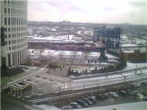 algocanada120110954.jpg