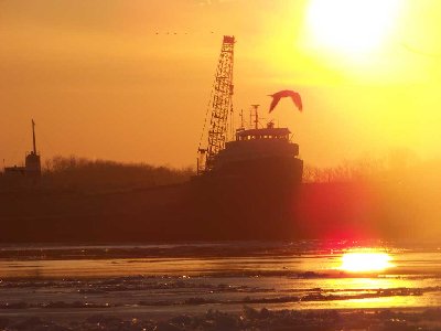 Maritime Trader during Winter Layup in Windsor, Ontario.
