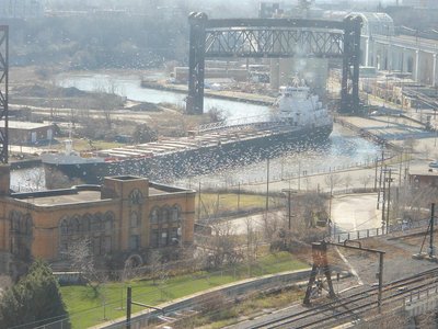buffalo122011.JPG
