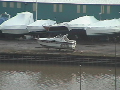2013-1-12yardaction2.JPG