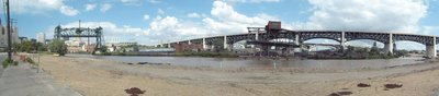 4-panorscrantonfishhabitat.JPG
