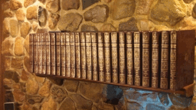 encyclopedias on shelf.gif (211.89 KiB) Viewed 2492 times encyclopedias on shelf.gif
