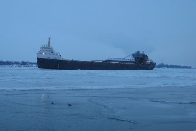 2014-01-09c Algomarine.jpg