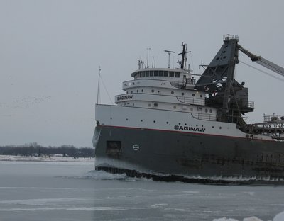 Breaking her own track through the ice, which produced very interesting sounds.