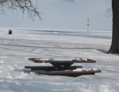 No picnics here for awhile!