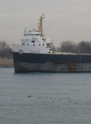 2014-04-07f AlgoSt.JPG