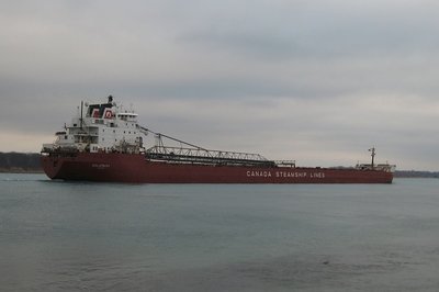 2014-04-25h Salarium.jpg (84.4 KiB) Viewed 2545 times Headed to Sydney, Nova Scotia. No cargo stated.