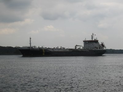 A regular at the Sarnia fuel dock