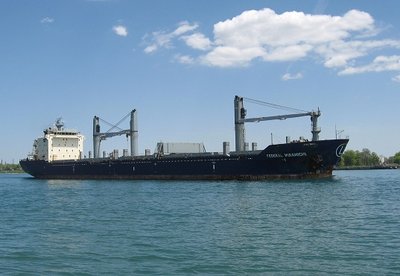 Having spent so much of the past few months at anchor on the Great Lakes, it's not surprising the salties seem to be in a hurry to leave with their loads of grain.
