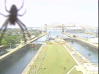 hcam2-Webster.jpg