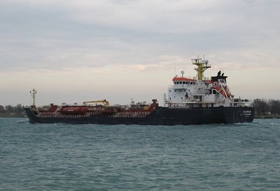 2014-11-11k Algonova (stern).jpg (73.81 KiB) Viewed 1161 times 2014-11-11k Algonova (stern).jpg