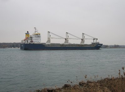 2014-11-22h Transhawk.jpg