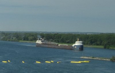 Algosoo, outside Montreal - 2013