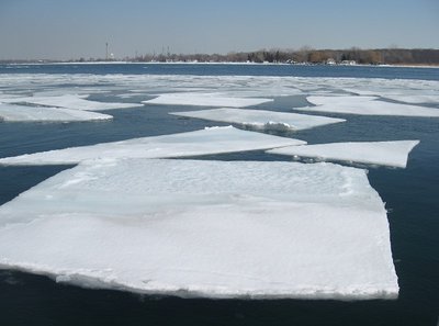 Carried by a strong current, the ice sails past me and on down river.