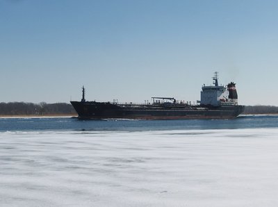 2015-03-09a AlgoHansa.jpg (90.53 KiB) Viewed 2303 times Algoma Hansa following the open track, headed to Sarnia. Thick ice lies between her and the shore, where I am watching from a boat dock.