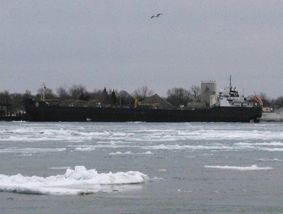 At the N. Sarnia fuel dock