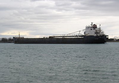 2015-04-03g Algowood.jpg